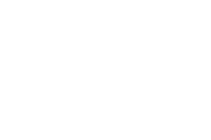 DW-RS